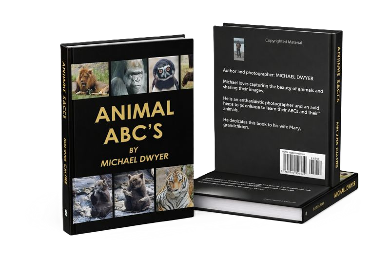 Animal ABC's book cover